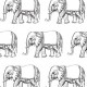 elephant
