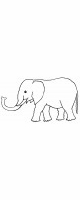 elephant baby