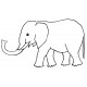 elephant baby