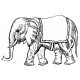 elephant circus