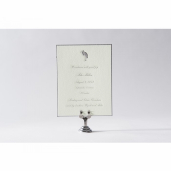 Engraved Baby Announcement - Lila Miller