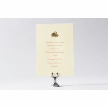 engraved rabbit baby announcement - pippi catherine
