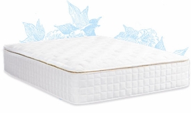 EOS mattresses