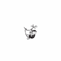 f17 - swinging monkey