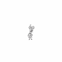 f20 - cute ant