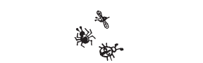 f3 - trio of bugs