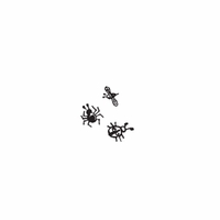 f3 - trio of bugs