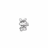 f38 - bunny