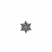 f55 - snowflake