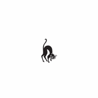 f58 - spooky cat