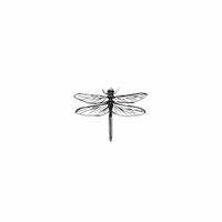 f71 - dragonfly