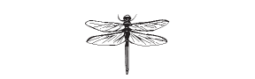 f71 - dragonfly