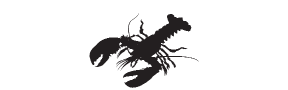 f75 - lobster