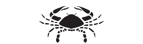 f77 - crab
