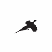 f78 - pheasant