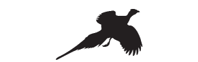 f78 - pheasant