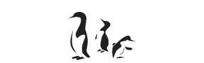 f81 - penguins