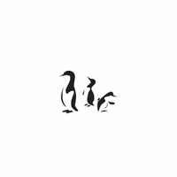 f81 - penguins