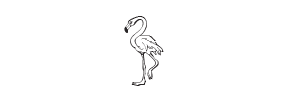 f85 - flamingo