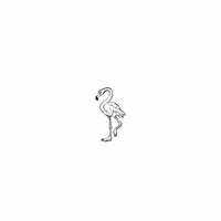 f85 - flamingo
