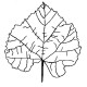 fall leaf 1