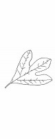 fall leaf 3