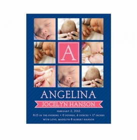 Flat Print Baby Announcement - Window Panes Pink