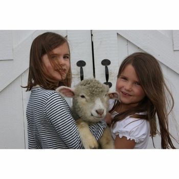 Fleece Holiday Card