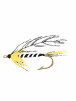 fly