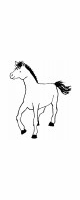 foal