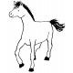 foal