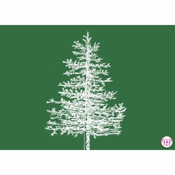 Forest Tree Enclosure Card