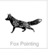 fox pointing