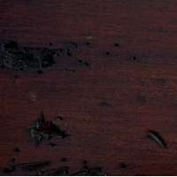 french walnut  
