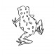 frog