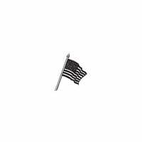 g11 - american flag