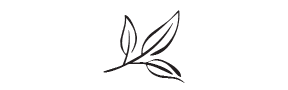 g22 - leaf