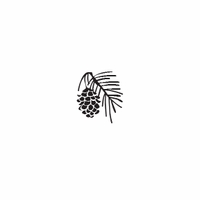 g26 - pinecone