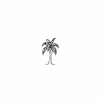 g7 - palm tree