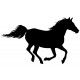 galloping horse