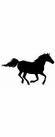 galloping horse