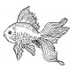 goldfish