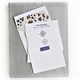 grand silver silk stationery box - g10