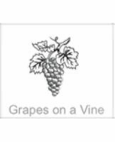 grapes on a vine