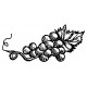 grapes single