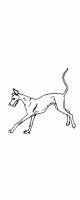 greyhound