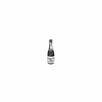 h-483 champagne bottle