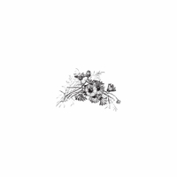 h-484 florals