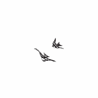 h-486 swallows