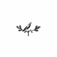 h-491 bird in branch